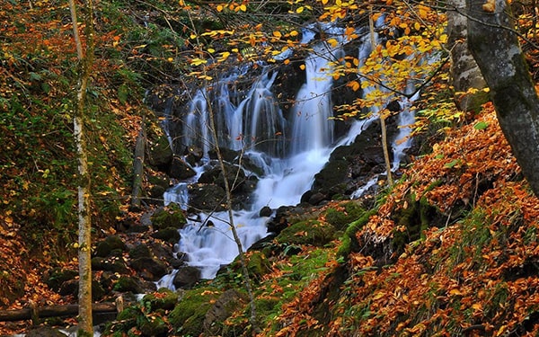 Bolu - Abant - Yedigöller Turu
