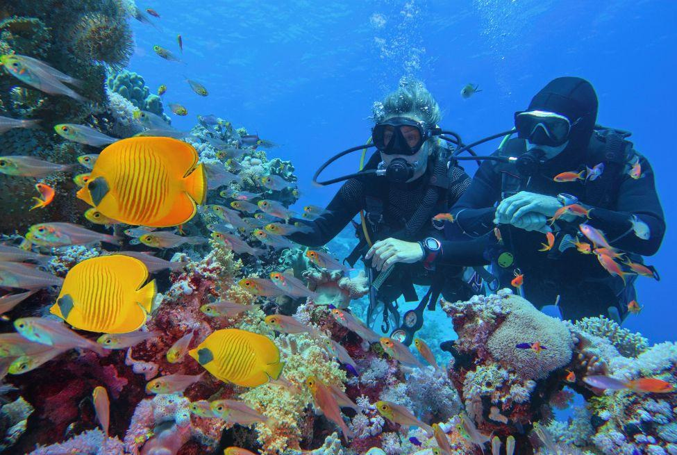 Vizyon Sharm El Sheikh Çöl ve Mercanların Keşfi Turu Ankara Çıkışlı
